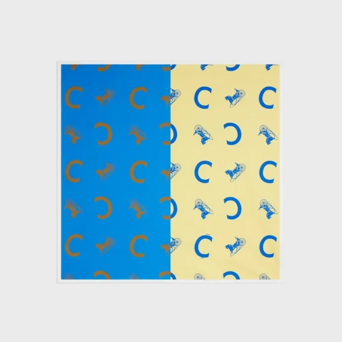 Carré en twill de soie