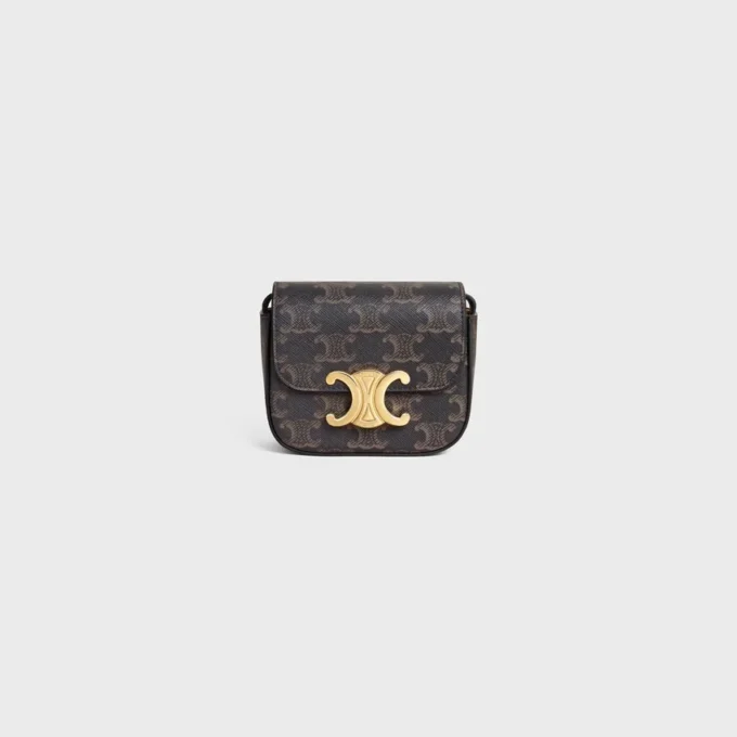 Mini Claude en Triomphe Canvas et cuir de veau