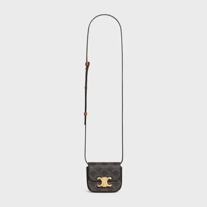Mini Claude en Triomphe Canvas et cuir de veau