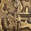 Petite Luggage en python